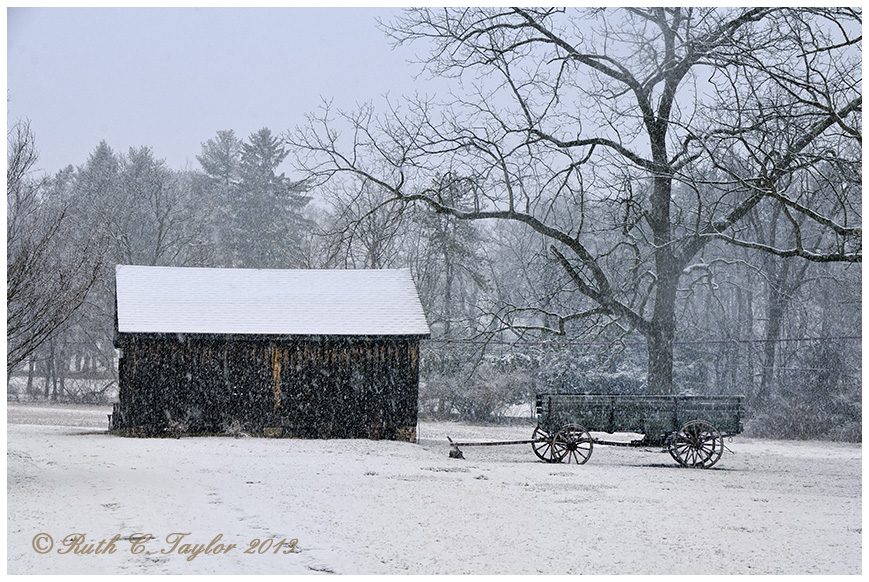 Spring Snow in Solebury