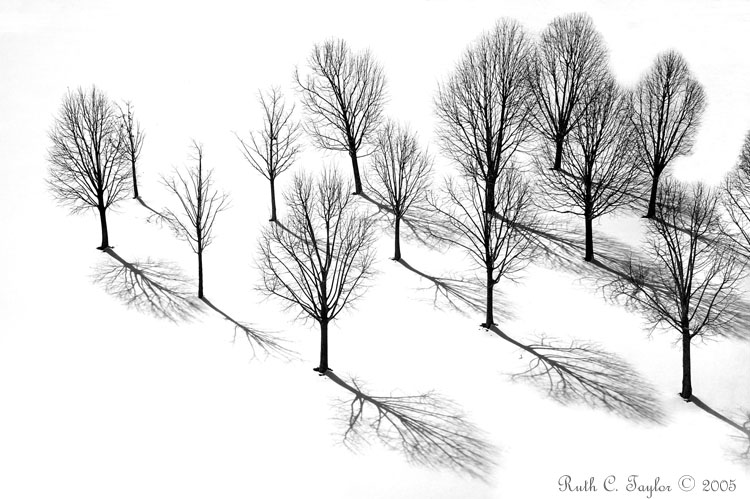 Shadows from Above (b/w)<br/> 