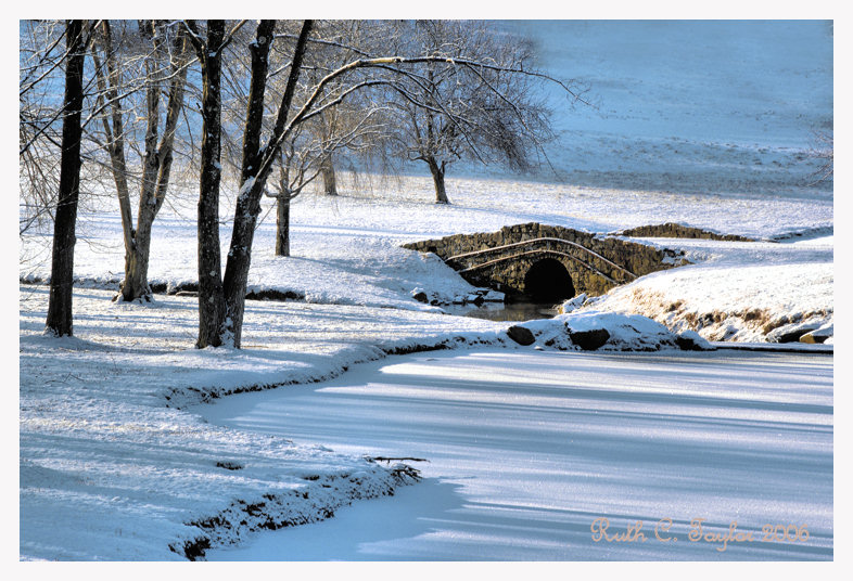 Winter Morning Shadows on Foxbriar Pond