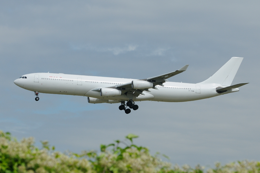 Air Algerie/ Hifly Airbus A340-300 OY-KBM