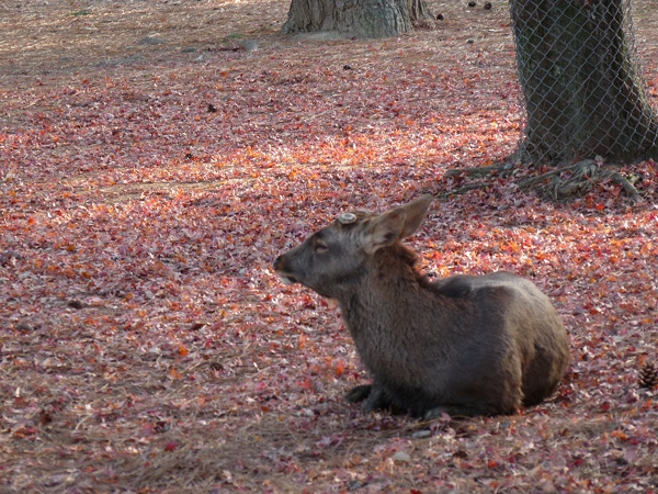 small-P1020691.JPG
