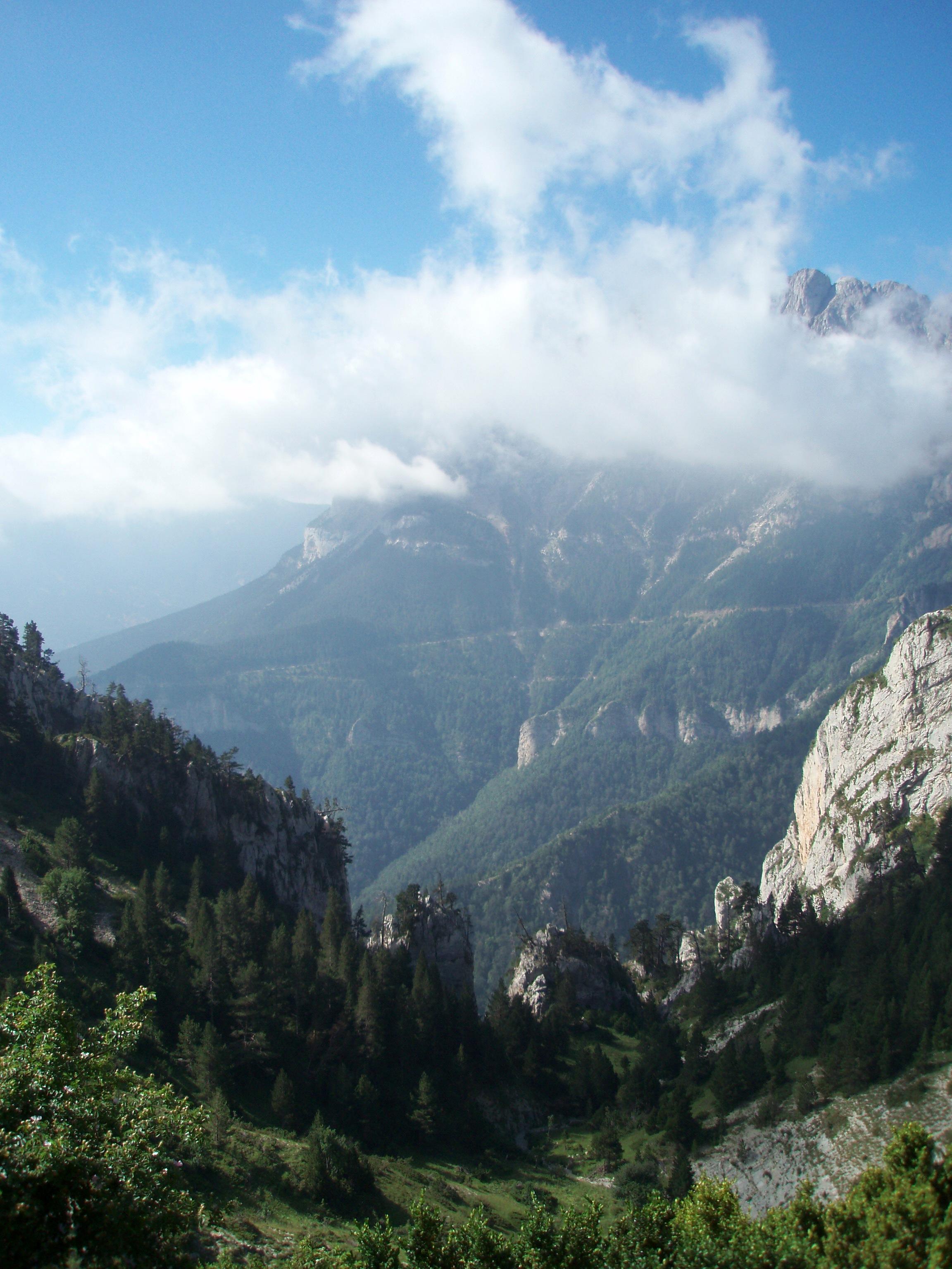 Misty mountain tops