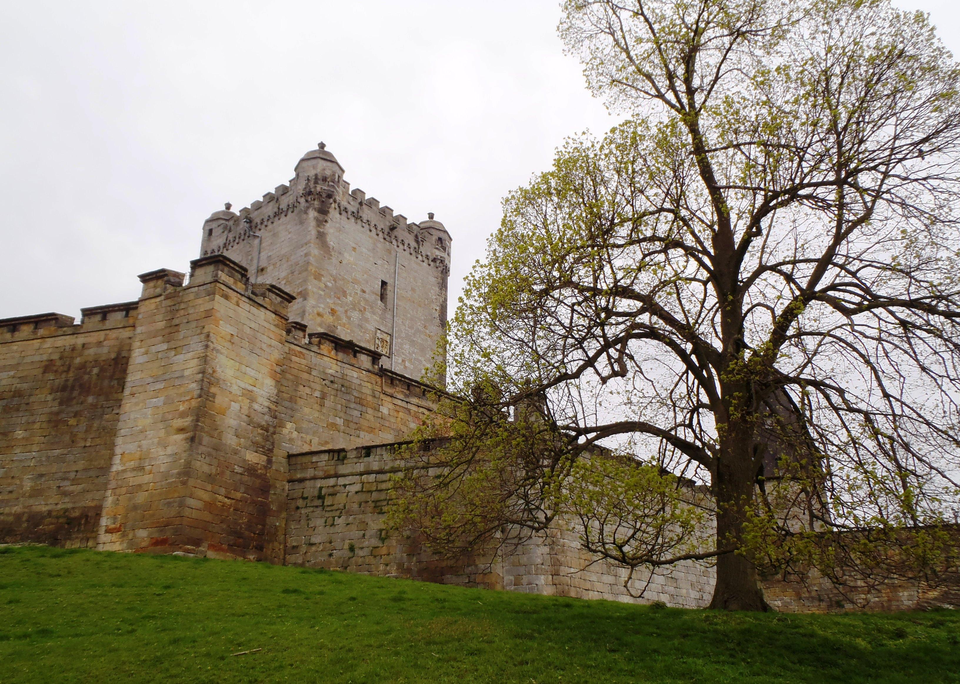 Castle Bentheim