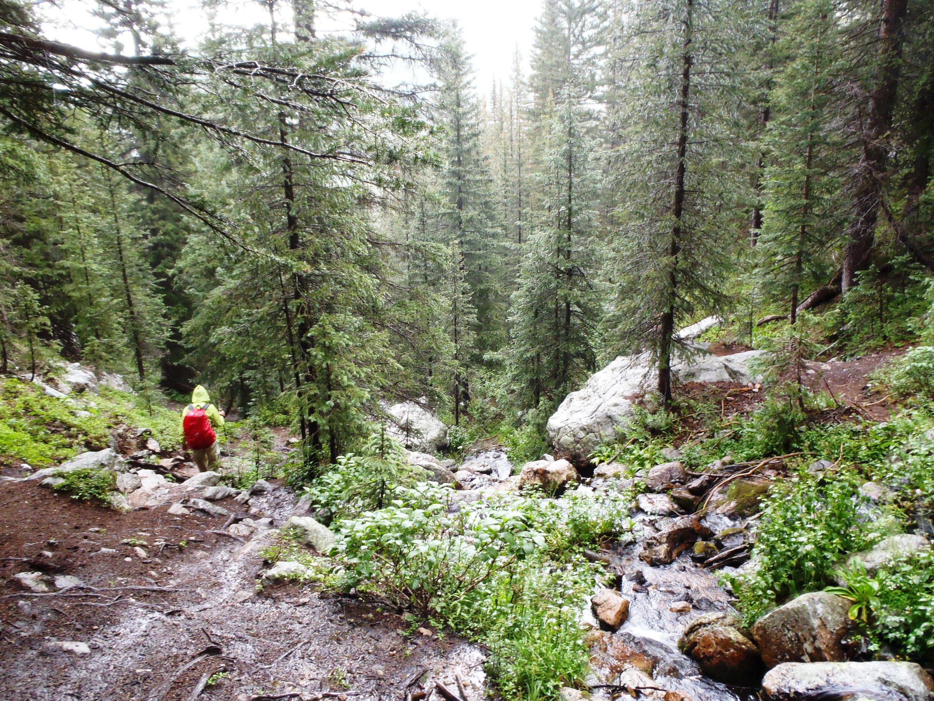 Hiking back