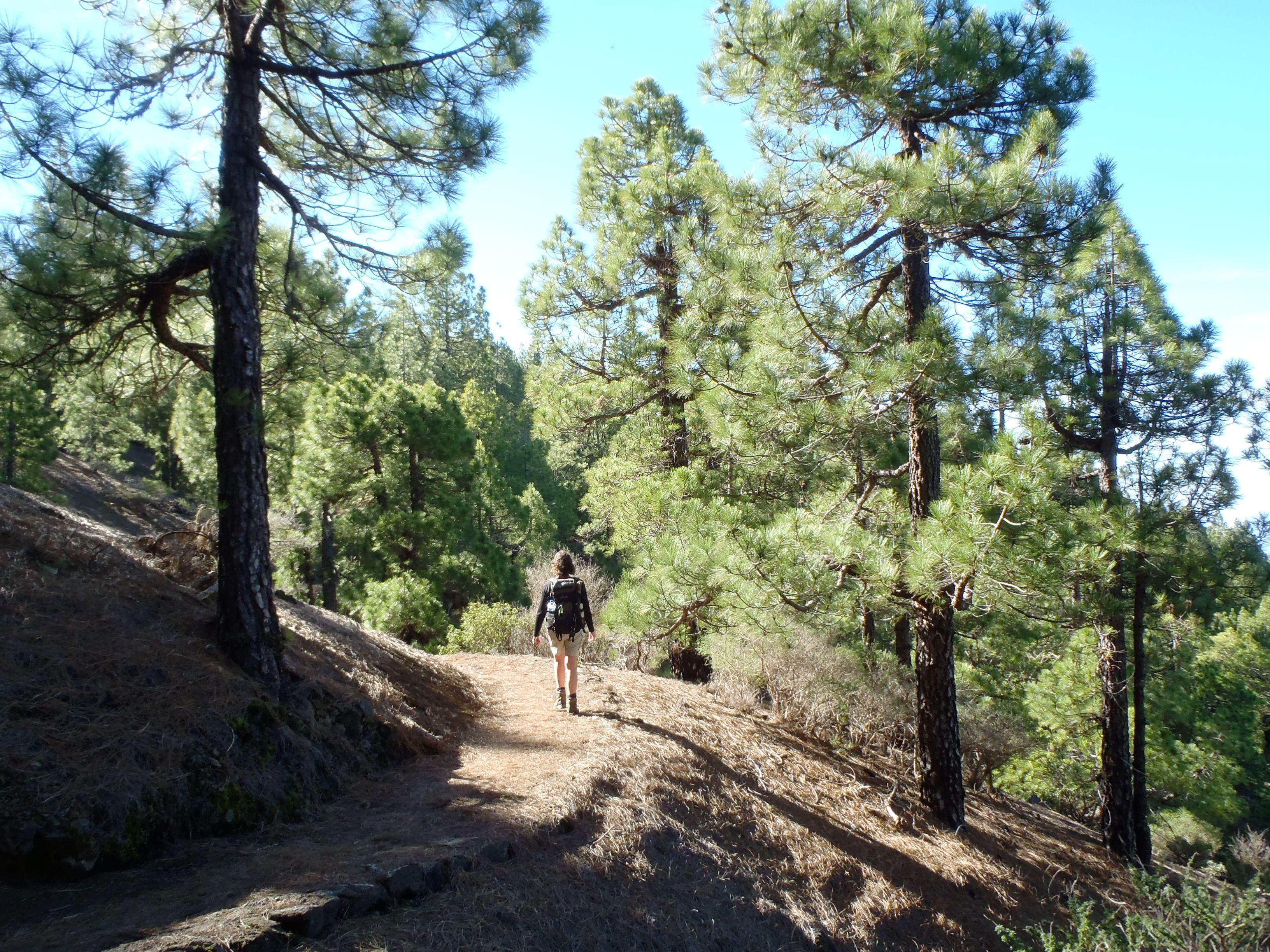 Ruta de los Volcanes