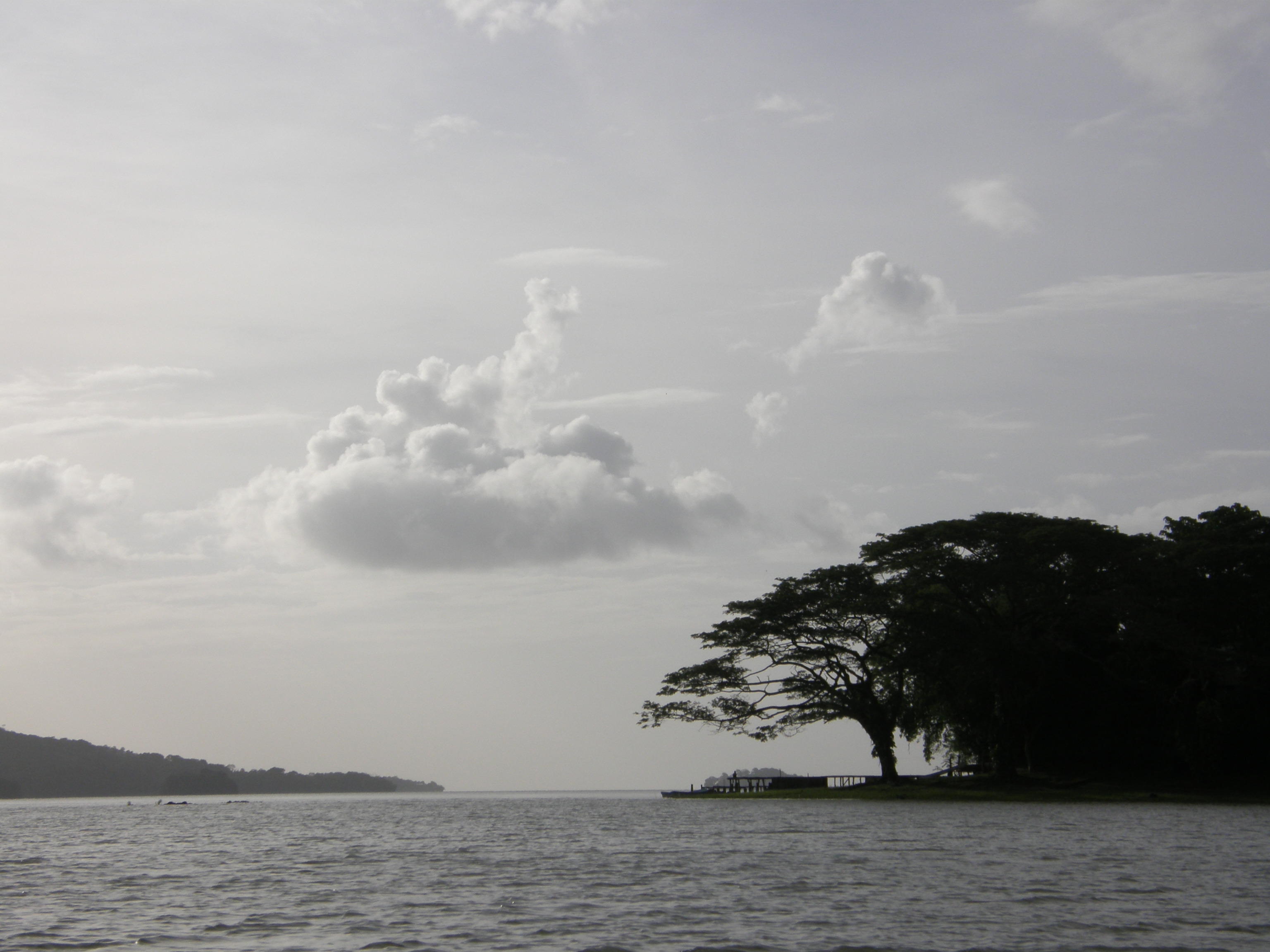 Panoramic view