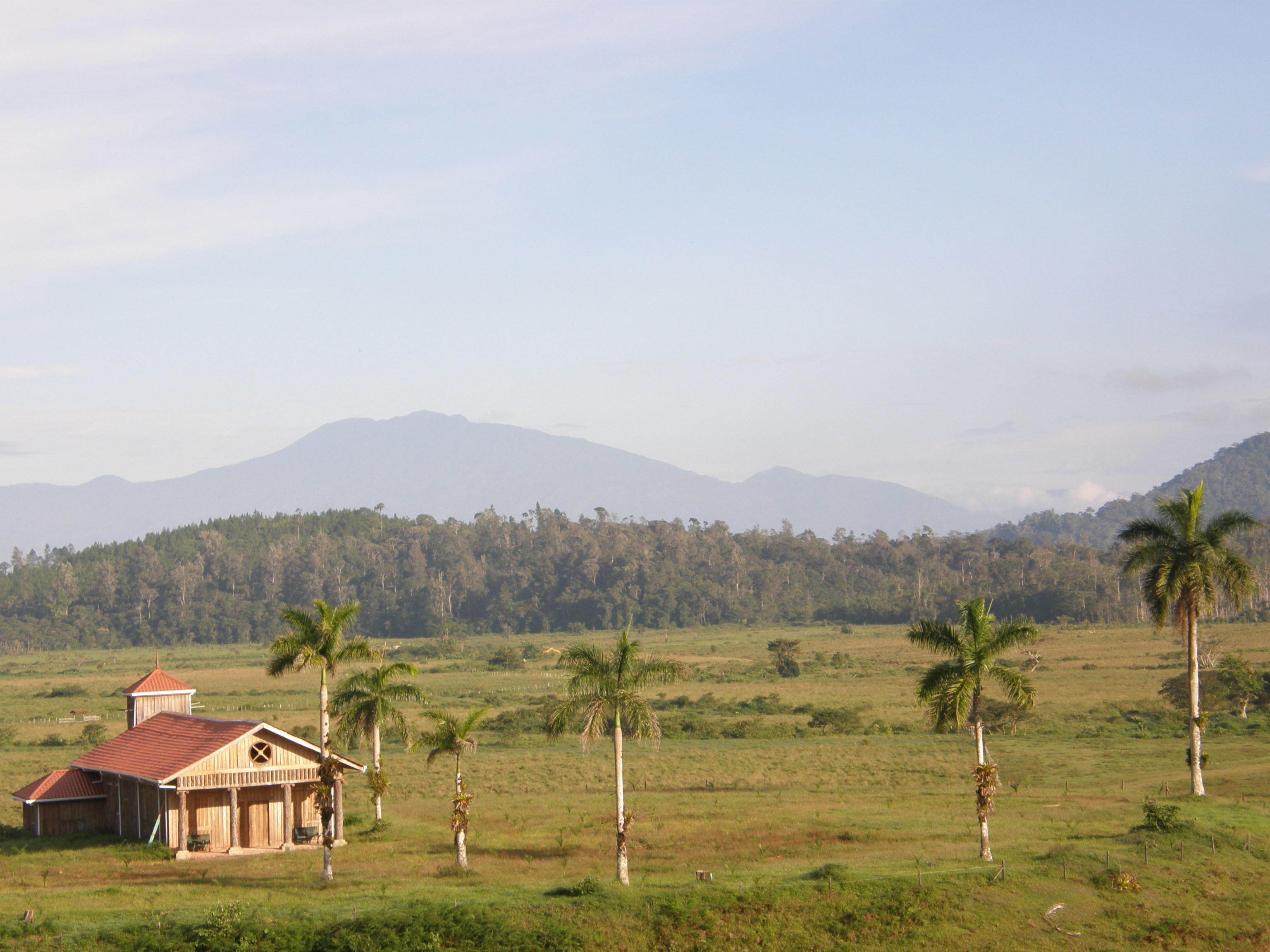 Morning panorama