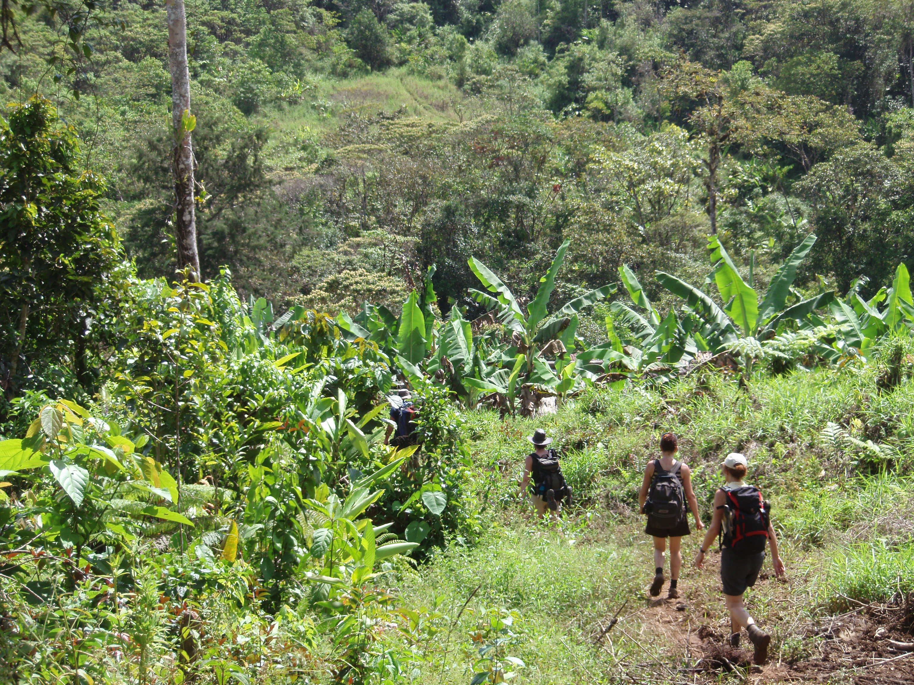 Hiking along