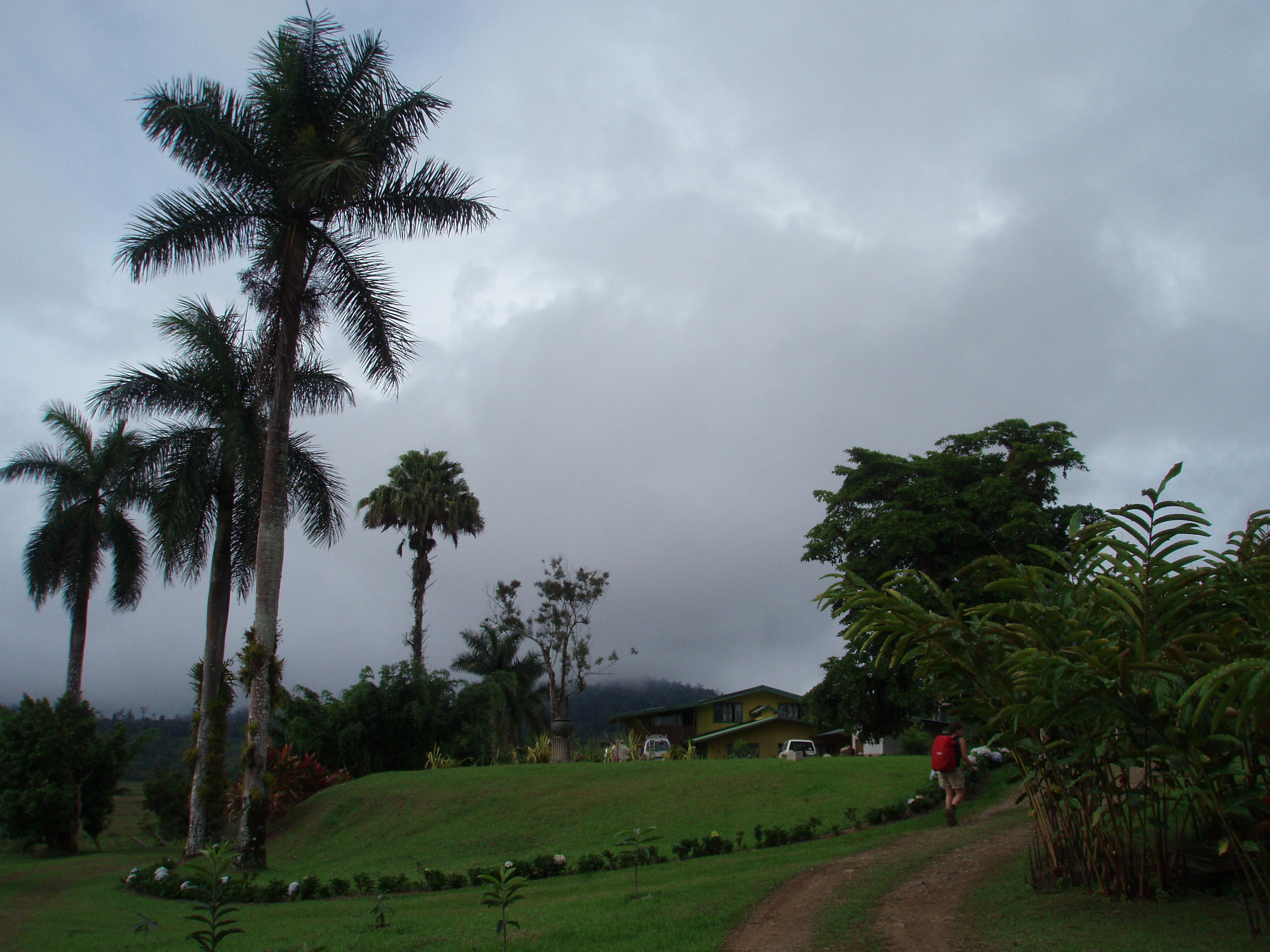 Back at the Hacienda
