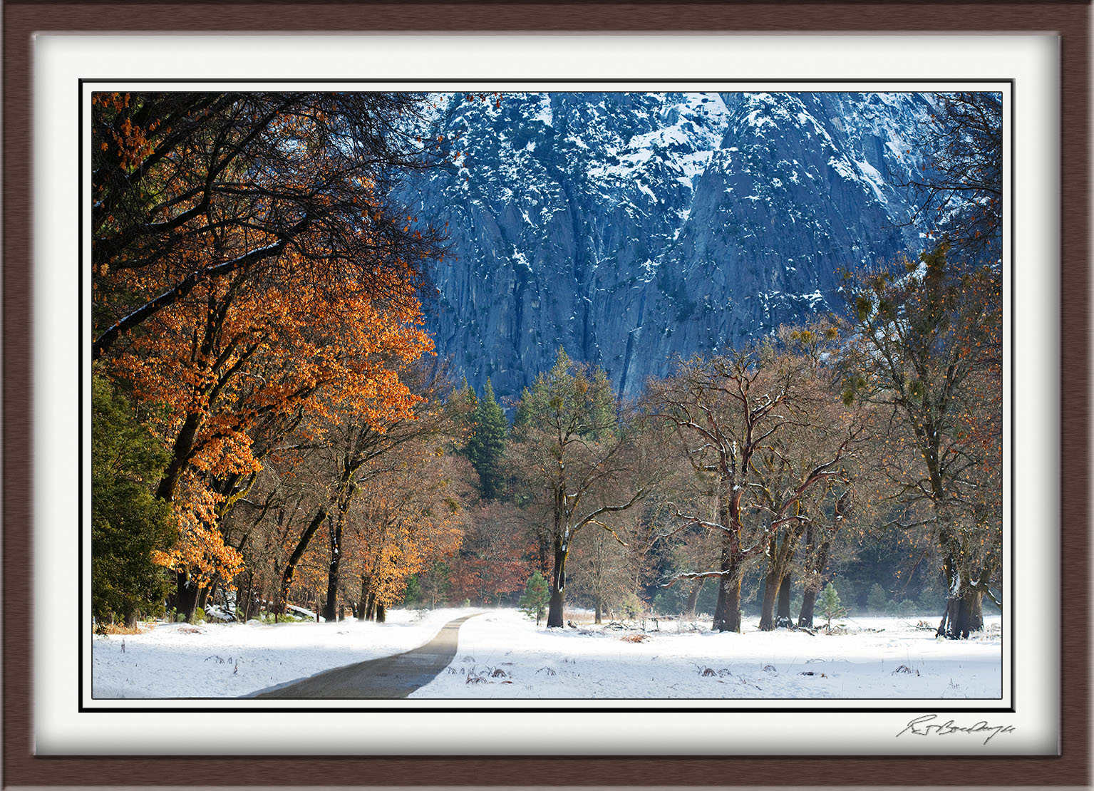 Yosemite Valley In The Morning