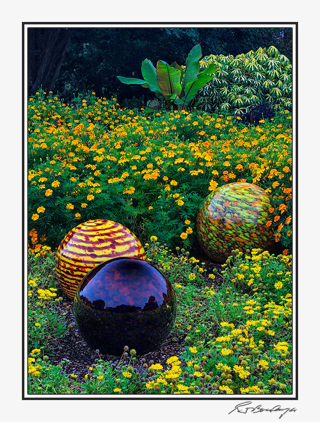 IMG_6361-Niijima Floats.jpg