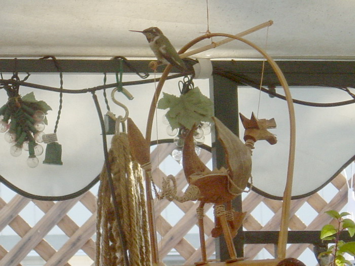 Hummer on Dragon windchime.jpg