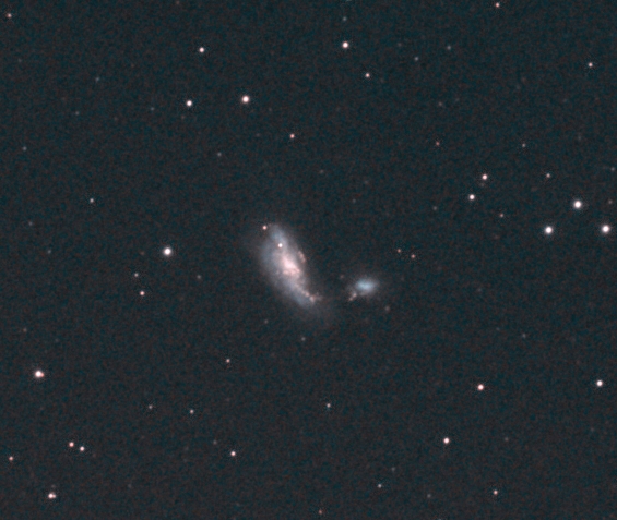 Ngc-4490 & SN-2008AX