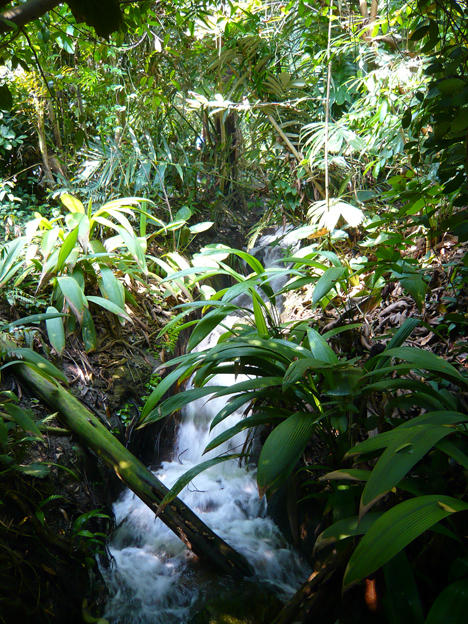 Eden Project