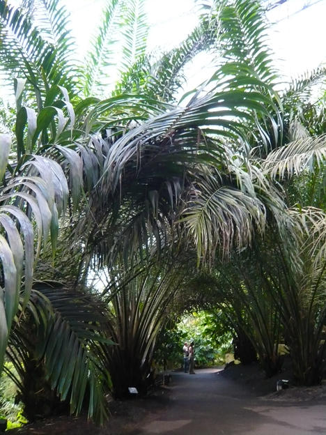 Eden Project