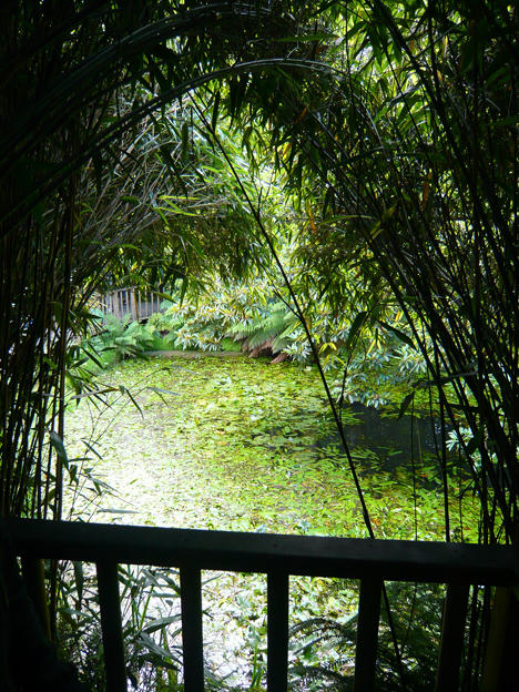 Lost Gardens of Heligan