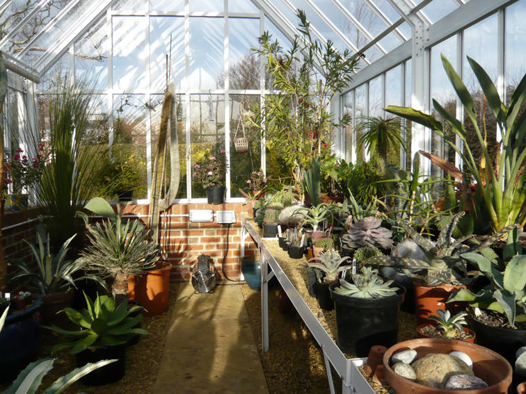 January 2008