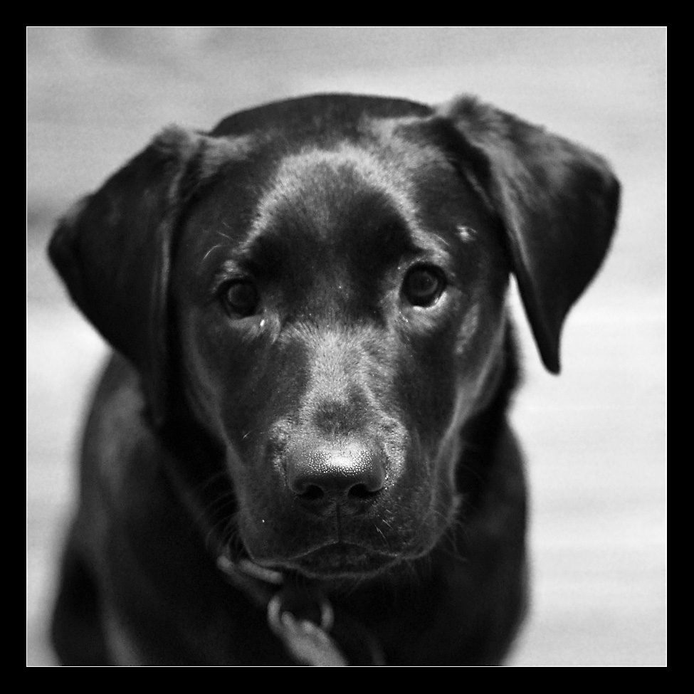 Maisy_10_sml.jpg