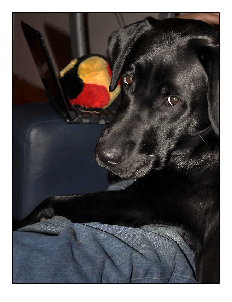 Play ball please!