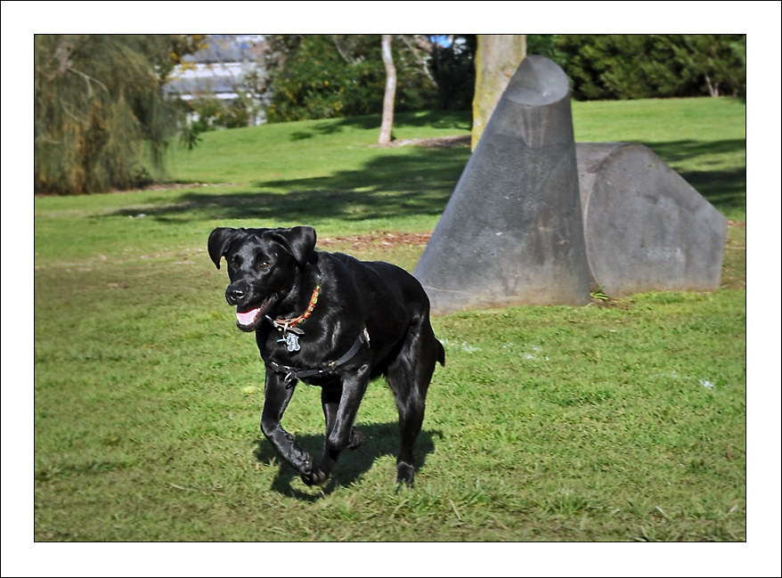 Mad Maisy