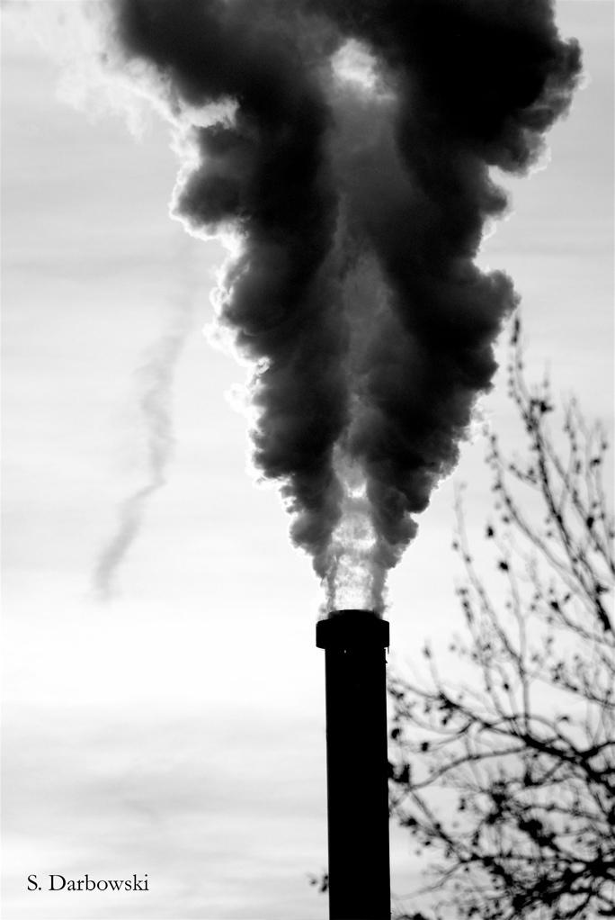 Pollution...