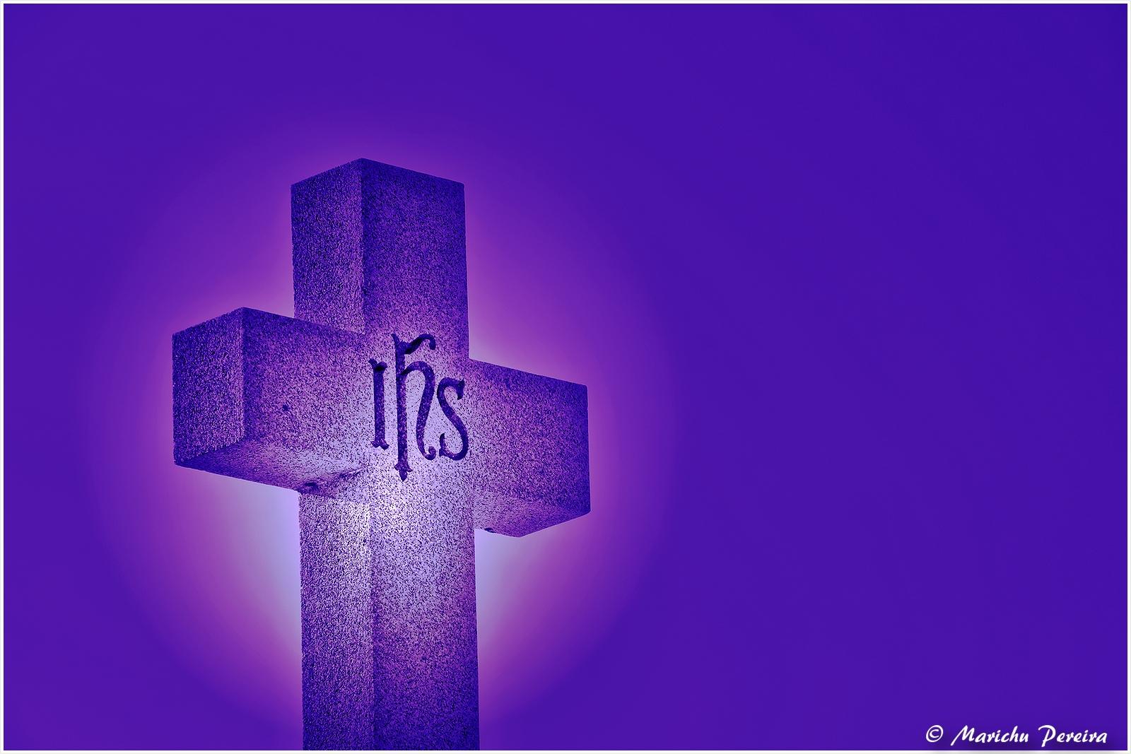 Purple Cross