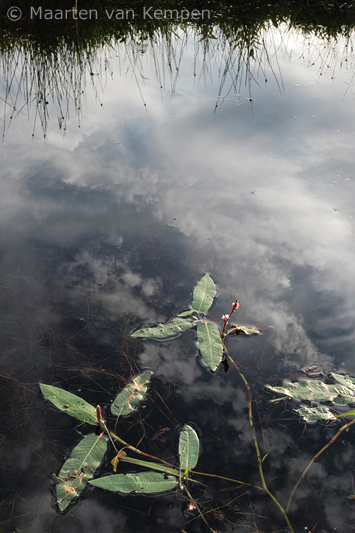 Floating in clouds