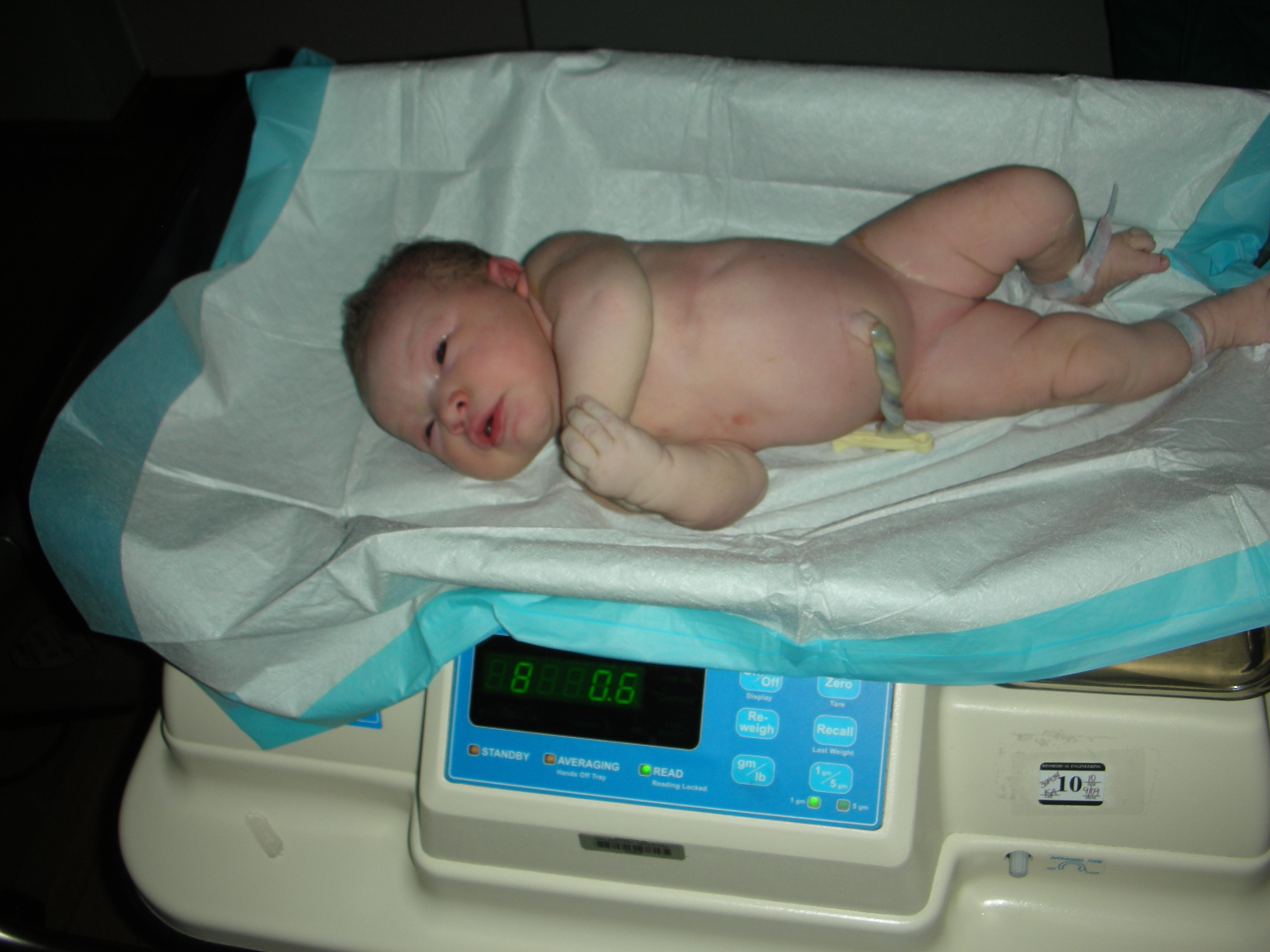 DSCN5200.JPG