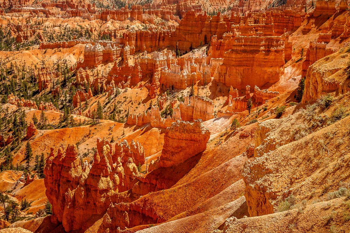 _MG_8229.JPG