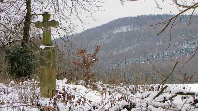 Blick vom Kloster Heisterbach auf den Dollendorfer Hardt