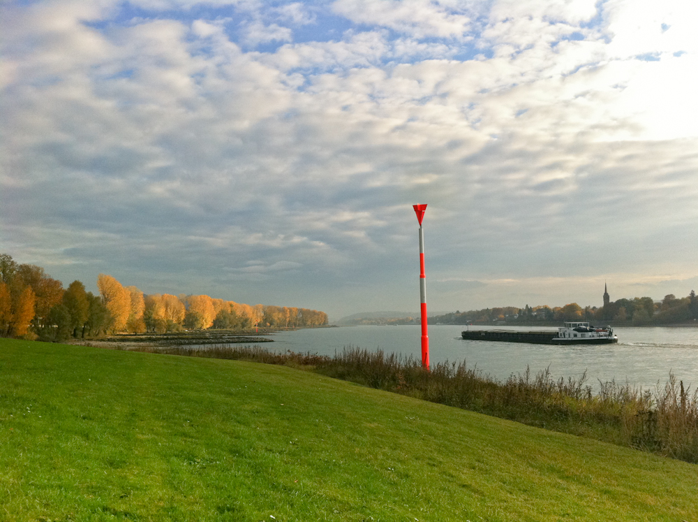 Autumn at the river rhine - Herbst am Rhein