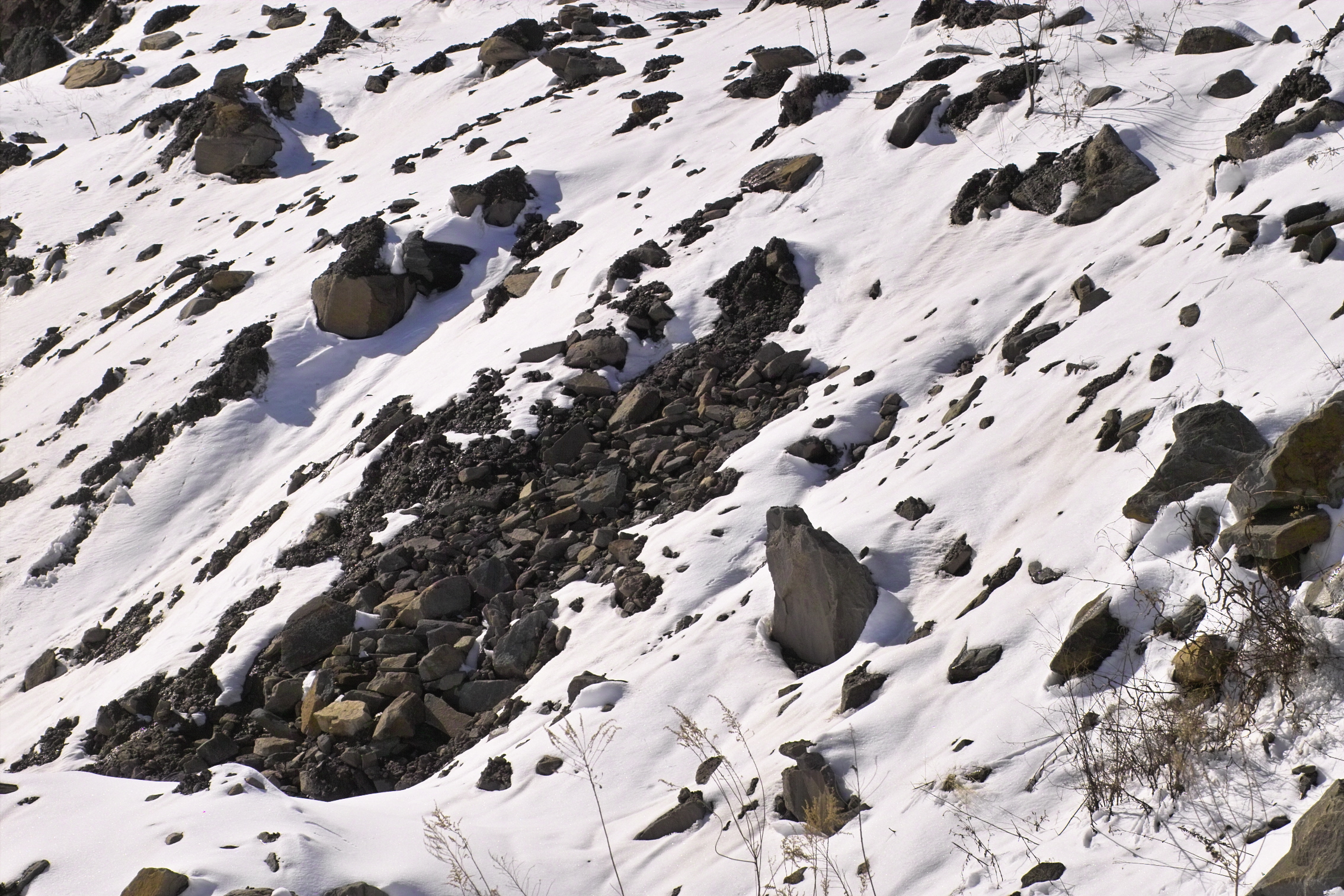 IMG19786.jpg