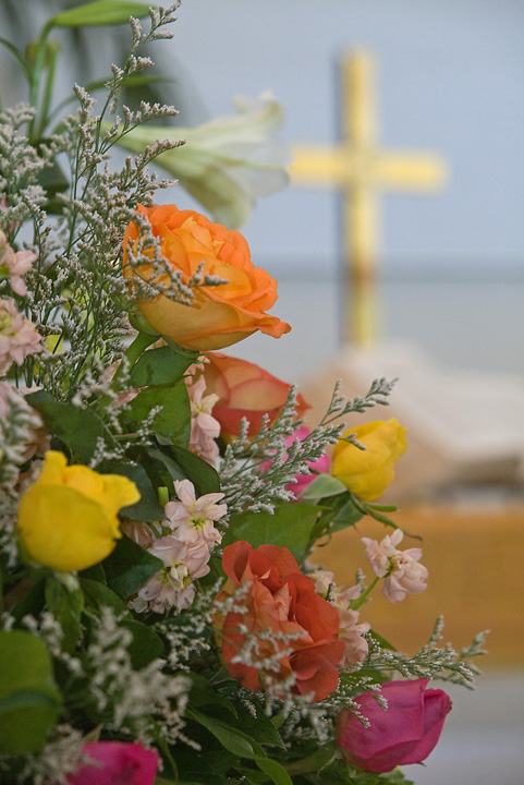 22-Mar-2008
