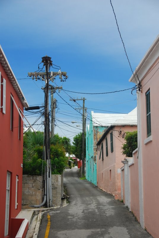 DSC_6913.JPG