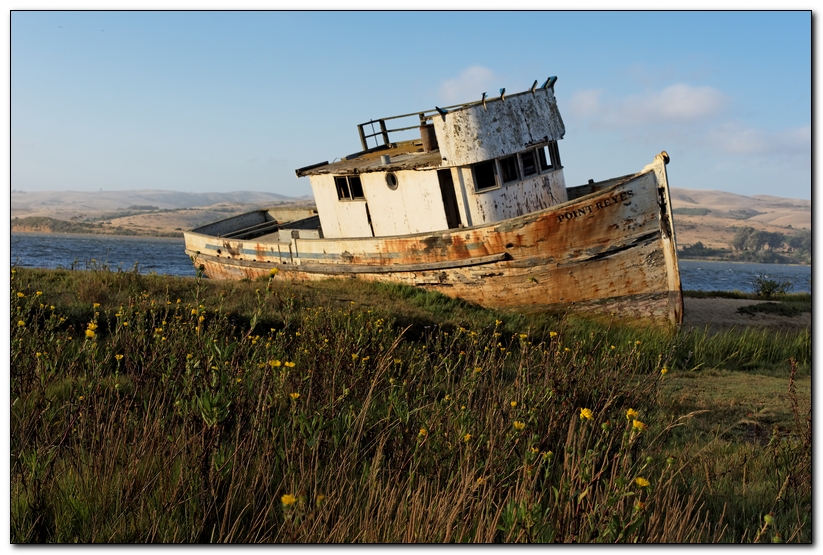 The Point Reyes - Beached
