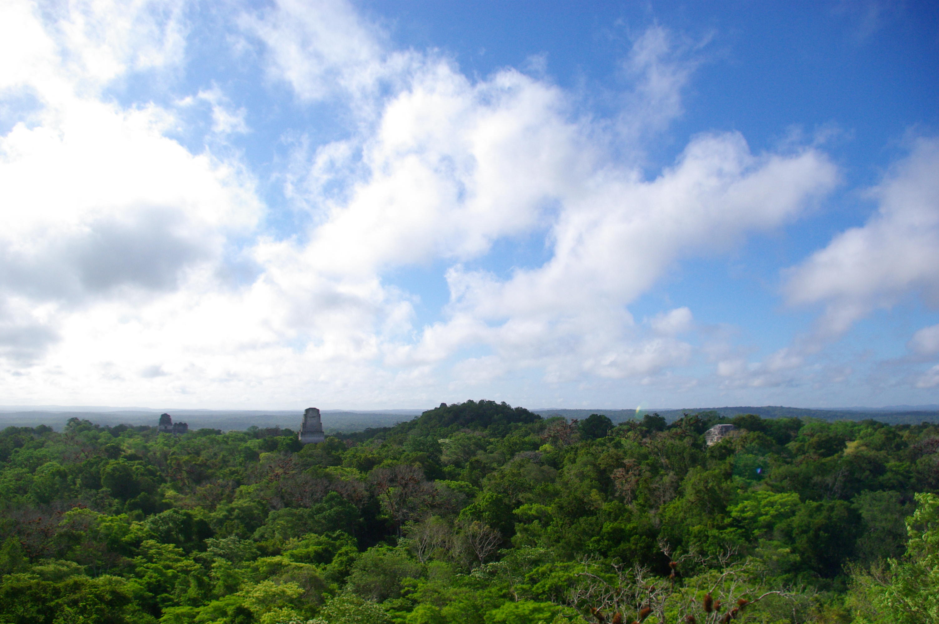 Tikal