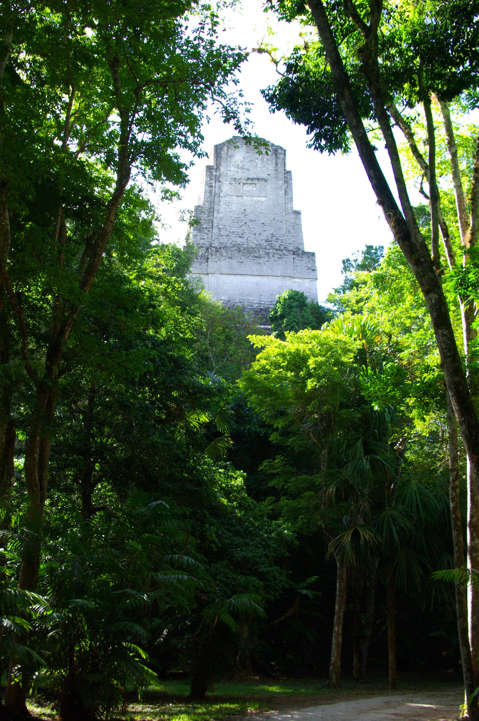 Tikal