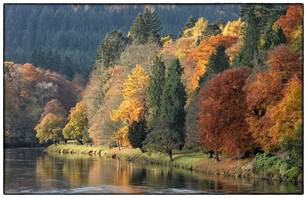 Autumn Colour, River Tay - DSC_2750.jpg