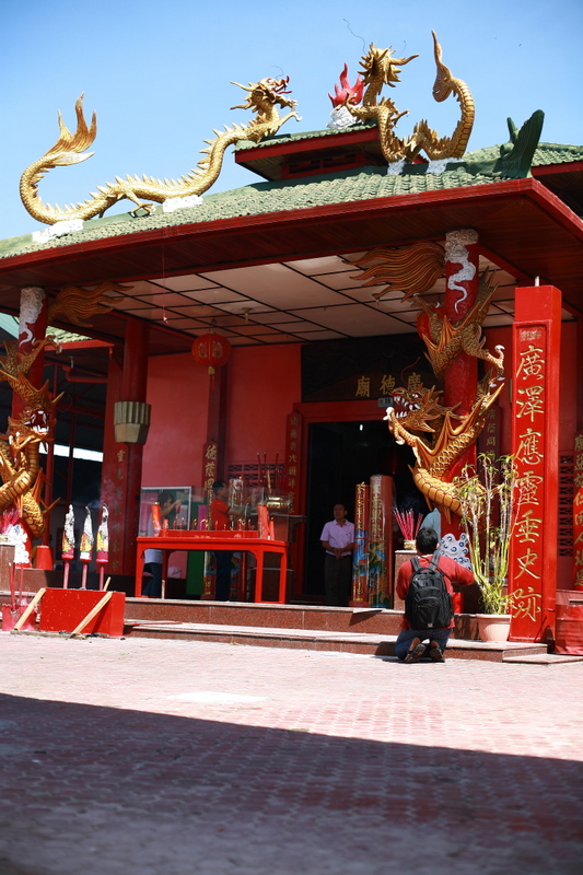 Celebrating Lunar New Year 2008