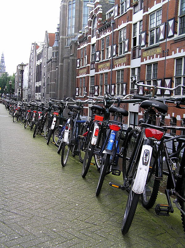 ams bikes line.JPG