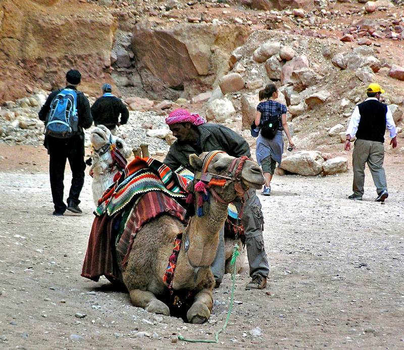 7camels near treasury.JPG