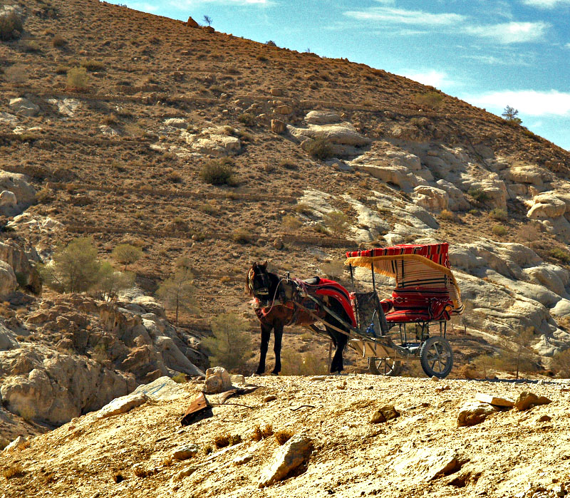 horse cart.JPG