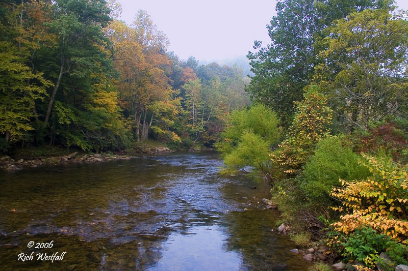 November 15, 2006  -  Early Morning on the Williams River