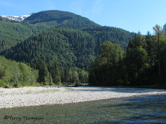 Orford River - Grizzly Bear habitat 1.jpg