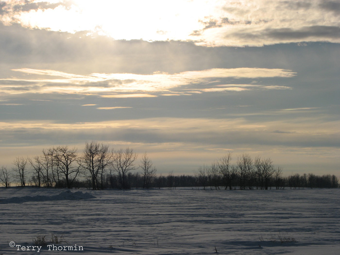 Winter afternoon - St. Albert 1.jpg