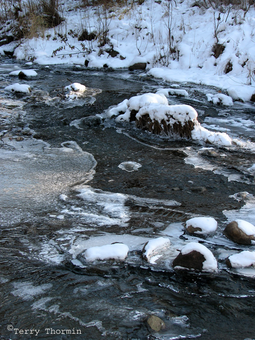 Whitemud Creek new ice 1.jpg