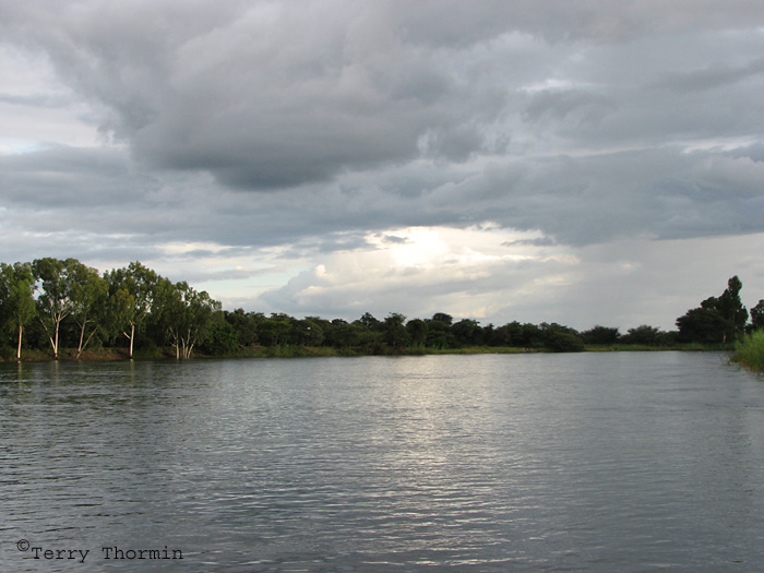 Kavango River 2 - NKwazi River Camp.JPG