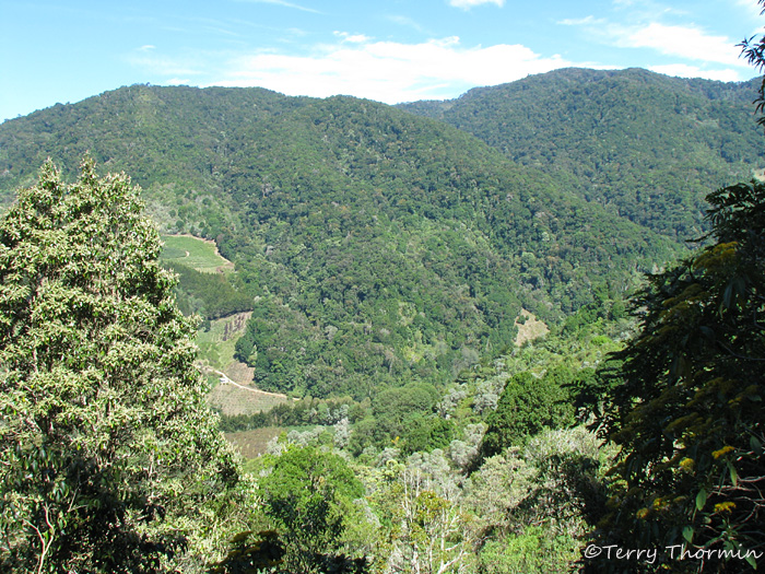 Savegre River Valley 1.JPG