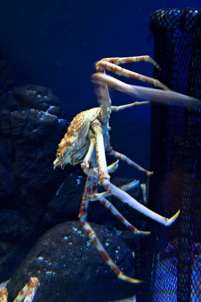 IMG_3780r.jpg