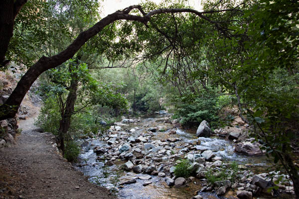 Haft Cheshmeh (7 Springs)